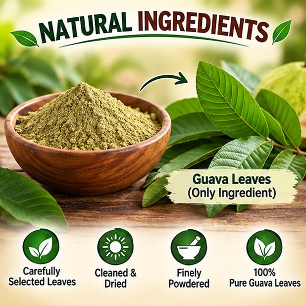 Guava Leaves Powder photo 2