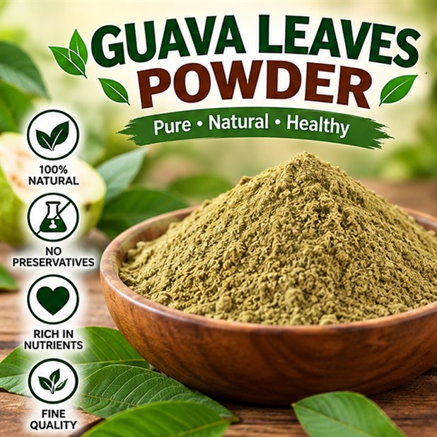 Guava Leaves Powder